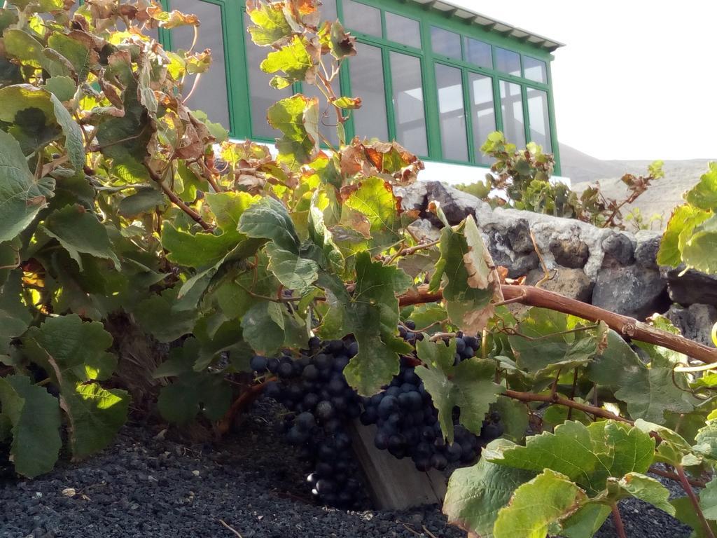 El Cortijo Eco Finca 호텔 Ye 외부 사진